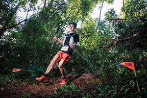 BIB: 3312
                            <button type="button" onclick="openModal(22630468)" class="btn btn-primary btn-sm float-right btn-popup" data-toggle="modal" data-target=".modal-high-quality">
                        <i class="fas fa-shopping-cart"></i> Add to Cart
                    </button>
                                            <button type="button" onclick="isThisMe(22630468, true)" class="btn btn-success btn-sm float-right btn-popup btn-isme hidden" data-toggle="tooltip" data-placement="bottom" title="นี่คือรูปของคุณใช่ไหม คลิกที่นี่เพื่อเอาเข้าอัลบั้ม">
                        <i class="fas fa-plus"></i> Add to album
                    </button>
                    <button type="button" onclick="isThisMe(22630468, false)" class="btn btn-warning btn-sm float-right btn-popup btn-isnotme hidden">
                        <i class="fas fa-ban"></i> Remove from album
                    </button>